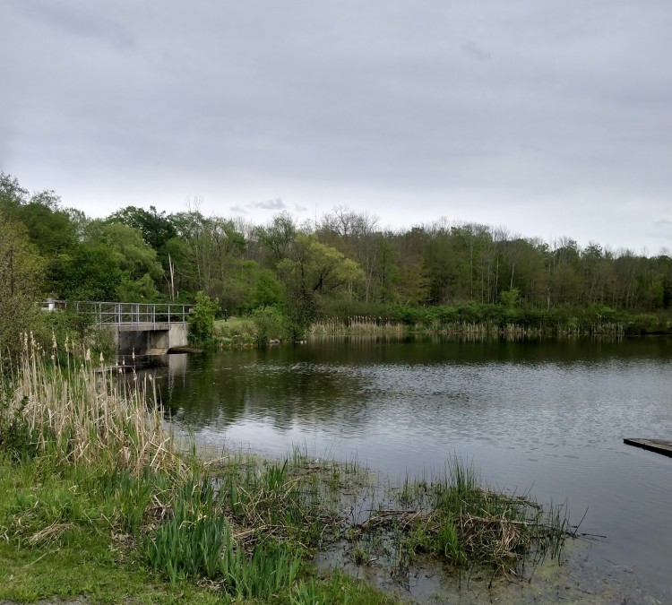 jennings-pond-park-photo